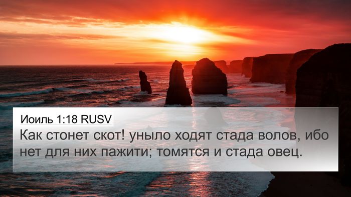 Иоиль 1:18 RUSV Bible Verse Image