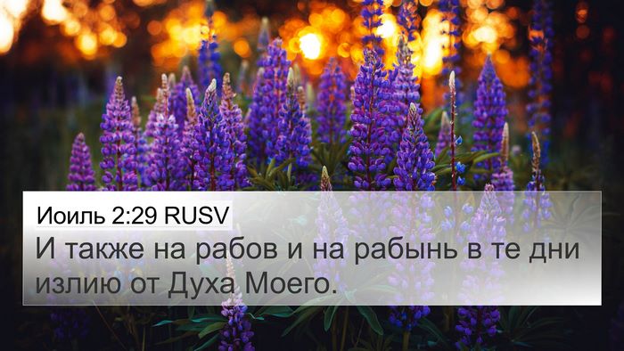 Иоиль 2:29 RUSV 4K Wallpaper - И также на рабов и на - 4K Wallpaper Bible Verse
