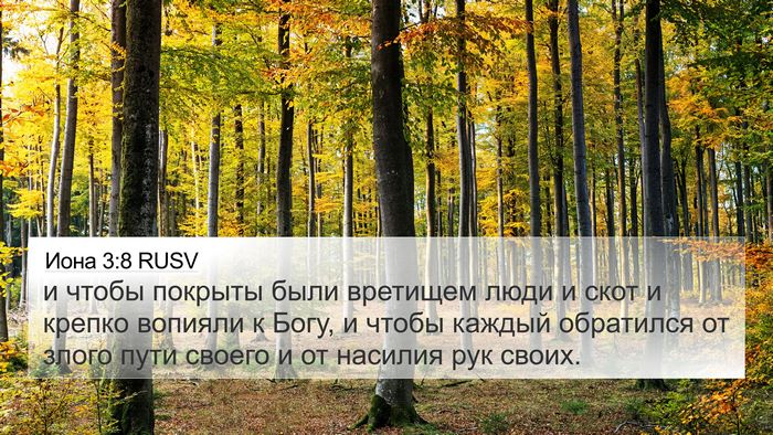 Иона 3:8 RUSV Bible Verse Image