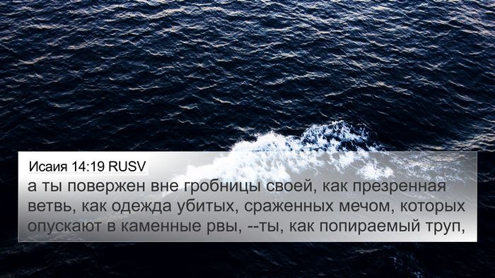 Исаия 14:19 RUSV Bible Verse Image