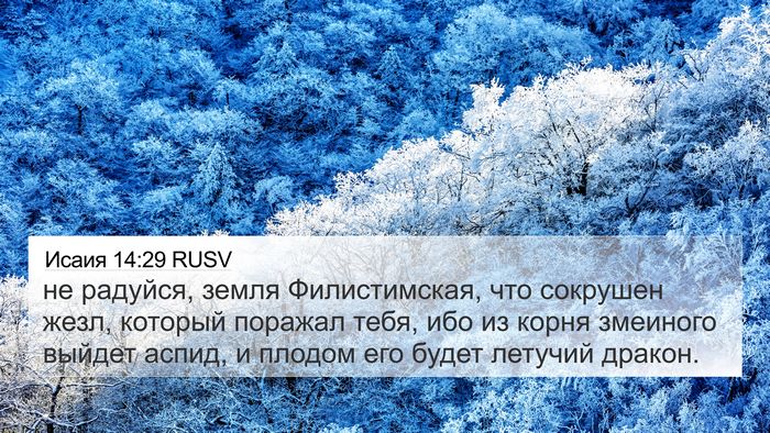 Исаия 14:29 RUSV Bible Verse Image