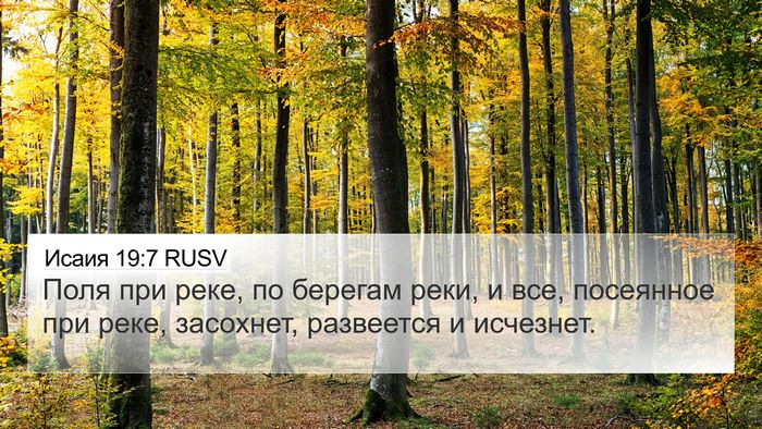 Исаия 19:7 RUSV Bible Verse Image
