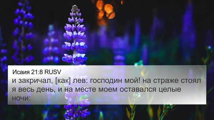Исаия 21:8 RUSV Bible Verse Image