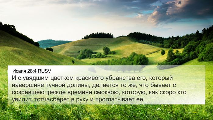 Исаия 28:4 RUSV Bible Verse Image