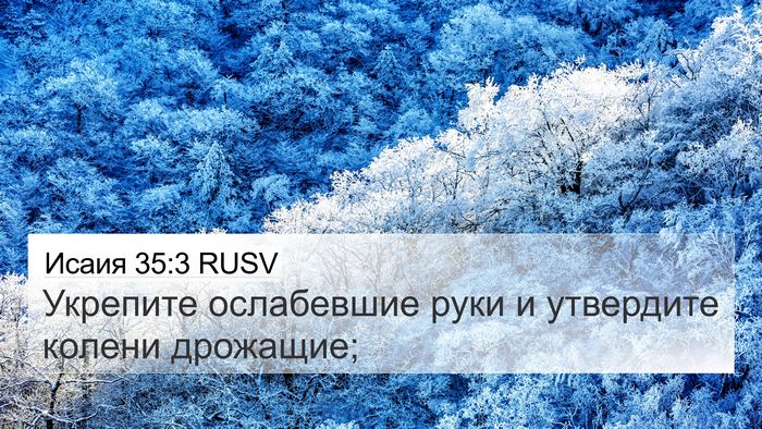 Исаия 35:3 RUSV Bible Verse Image