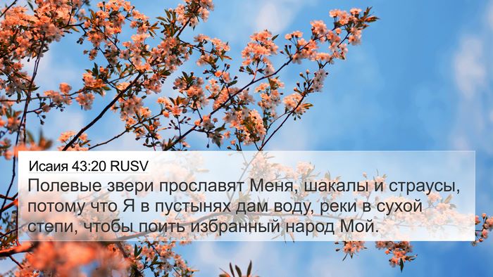 Исаия 43:20 RUSV Bible Verse Image