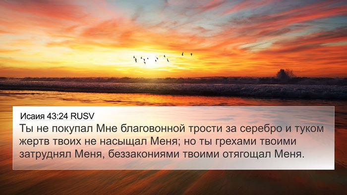Исаия 43:24 RUSV Bible Verse Image