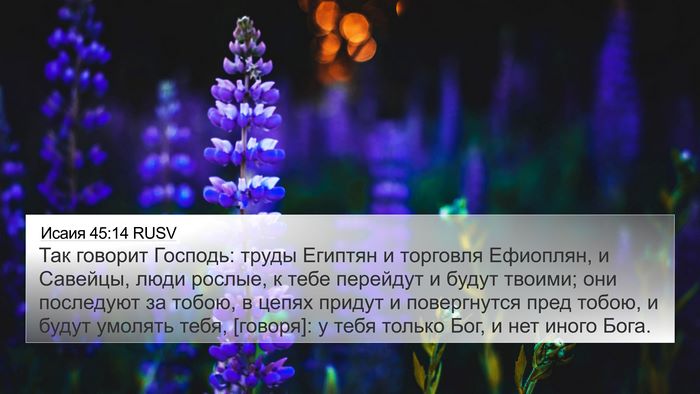Исаия 45:14 RUSV Bible Verse Image