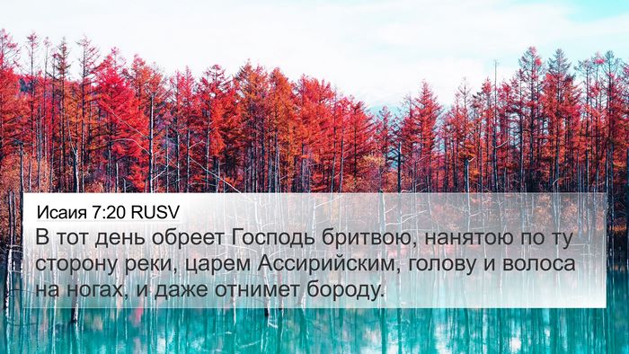 Исаия 7:20 RUSV Bible Verse Image