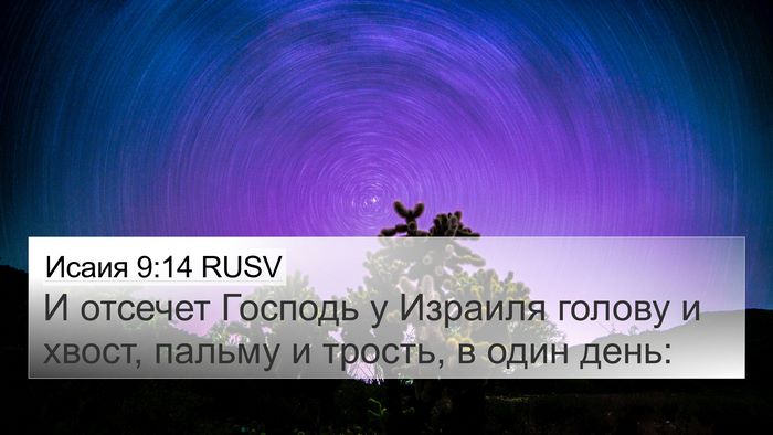 Исаия 9:14 RUSV Bible Verse Image