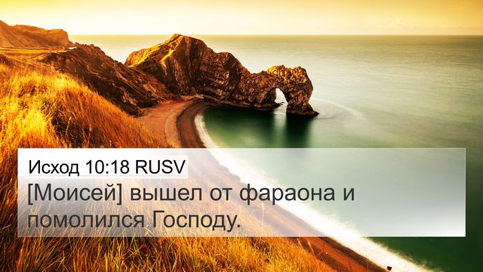 Исход 10:18 RUSV 4K Wallpaper - [Моисей] вышел от фараона и - 4K Wallpaper Bible Verse