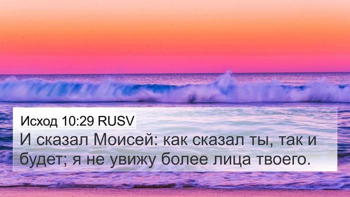 Исход 10:29 RUSV Bible Verse Image
