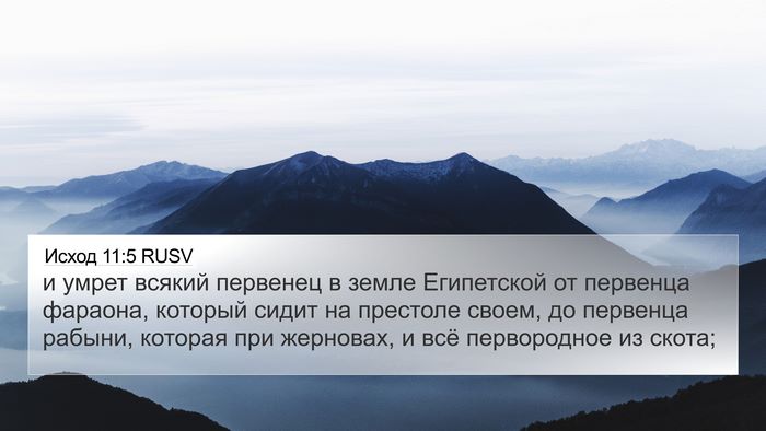 Исход 11:5 RUSV Bible Verse Image