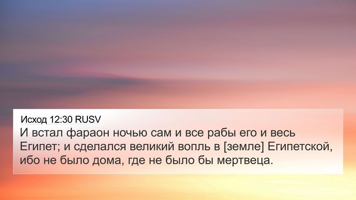Исход 12:30 RUSV Bible Verse Image