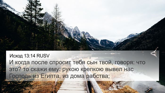 Исход 13:14 RUSV Bible Verse Image
