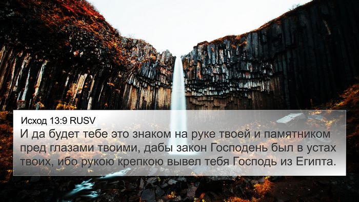 Исход 13:9 RUSV Bible Verse Image