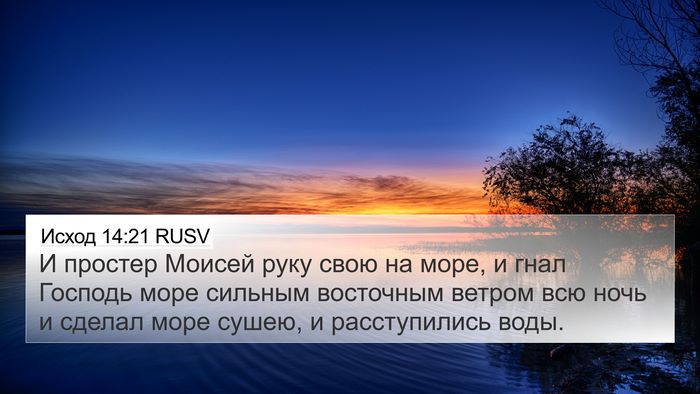 Исход 14:21 RUSV Bible Verse Image