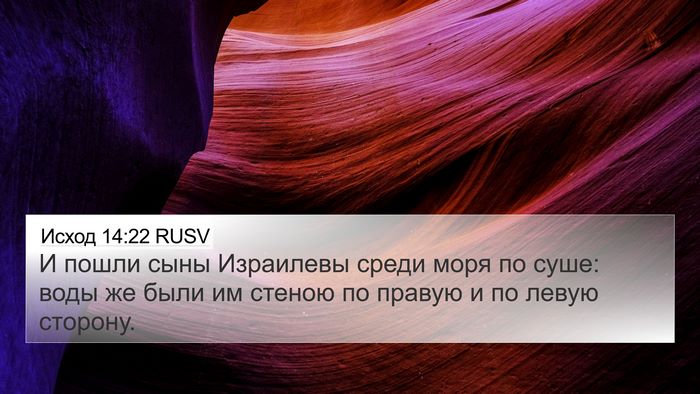 Исход 14:22 RUSV Bible Verse Image