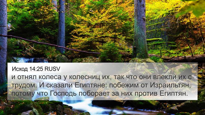 Исход 14:25 RUSV Bible Verse Image