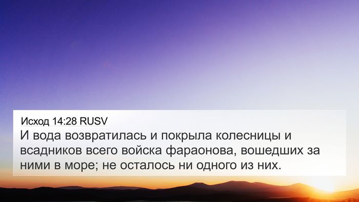 Исход 14:28 RUSV Bible Verse Image