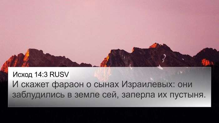 Исход 14:3 RUSV Bible Verse Image