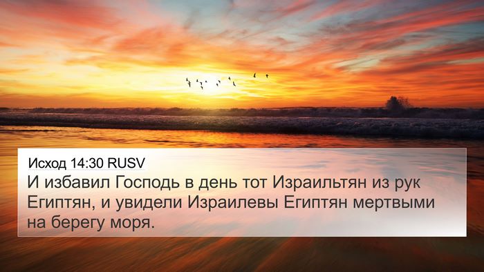 Исход 14:30 RUSV Bible Verse Image