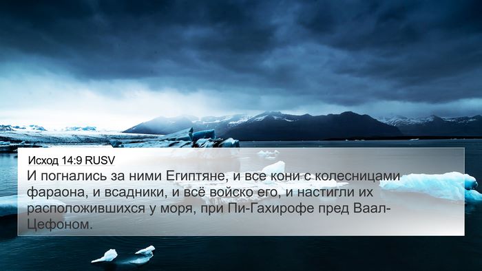 Исход 14:9 RUSV Bible Verse Image