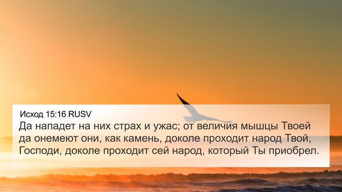 Исход 15:16 RUSV Bible Verse Image