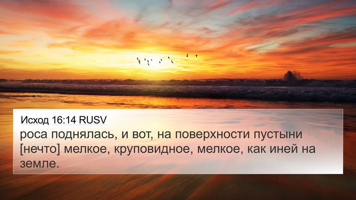 Исход 16:14 RUSV Bible Verse Image