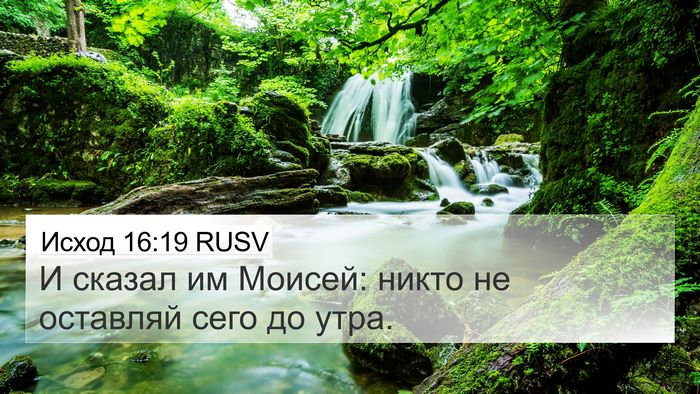 Исход 16:19 RUSV Bible Verse Image