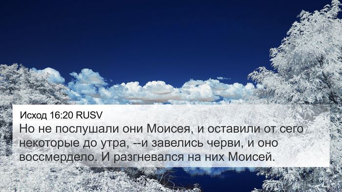 Исход 16:20 RUSV Bible Verse Image