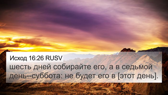 Исход 16:26 RUSV 4K Wallpaper - шесть дней собирайте его, а - 4K Wallpaper Bible Verse