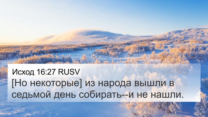 Исход 16:27 RUSV Bible Verse Image