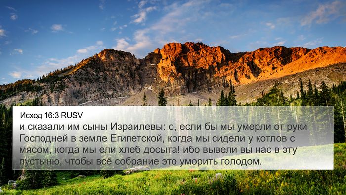 Исход 16:3 RUSV Bible Verse Image