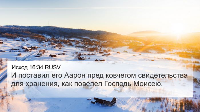 Исход 16:34 RUSV 4K Wallpaper - И поставил его Аарон пред - 4K Wallpaper Bible Verse