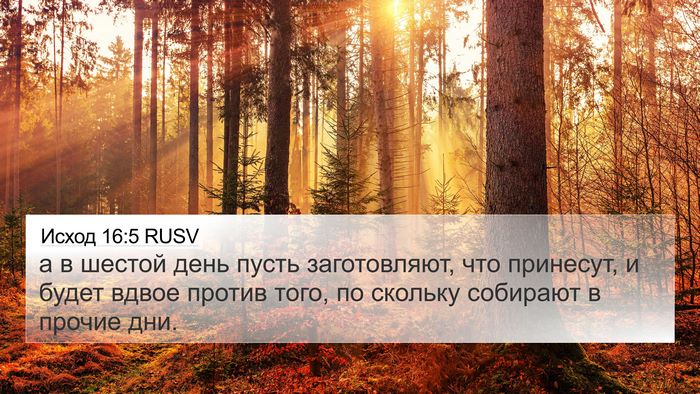 Исход 16:5 RUSV 4K Wallpaper - а в шестой день пусть - 4K Wallpaper Bible Verse