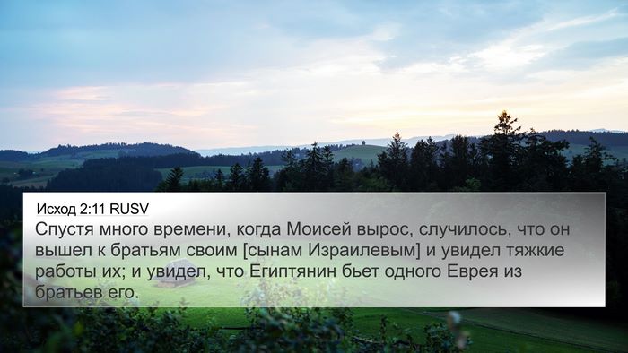 Исход 2:11 RUSV Bible Verse Image