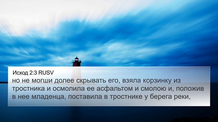Исход 2:3 RUSV 4K Wallpaper - но не могши долее скрывать - 4K Wallpaper Bible Verse