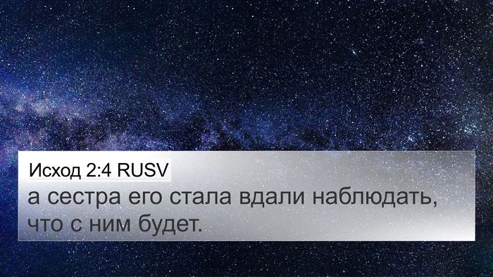 Исход 2:4 RUSV 4K Wallpaper - а сестра его стала вдали - 4K Wallpaper Bible Verse
