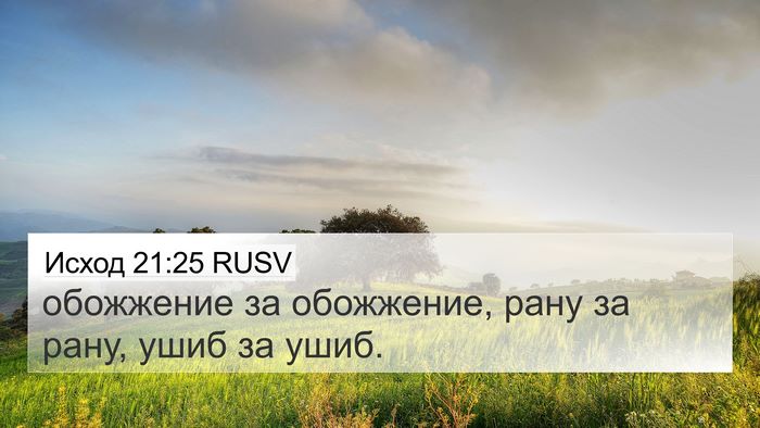 Исход 21:25 RUSV 4K Wallpaper - обожжение за обожжение, - 4K Wallpaper Bible Verse