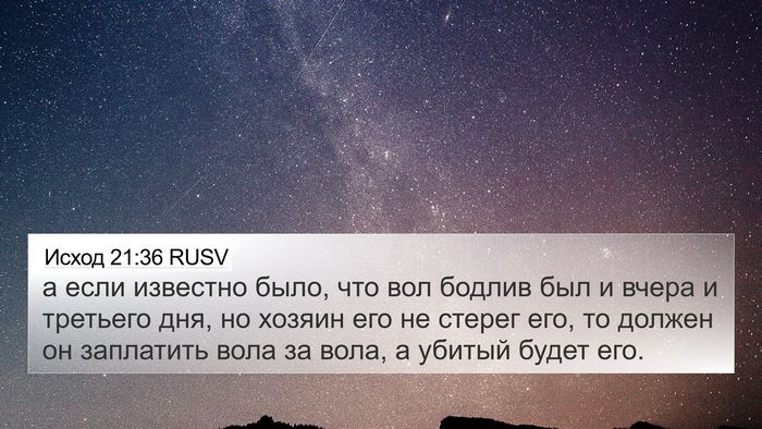 Исход 21:36 RUSV 4K Wallpaper - а если известно было, что - 4K Wallpaper Bible Verse