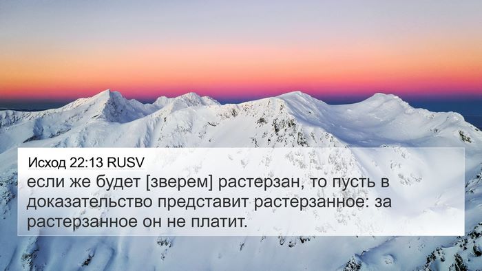 Исход 22:13 RUSV 4K Wallpaper - если же будет [зверем] - 4K Wallpaper Bible Verse