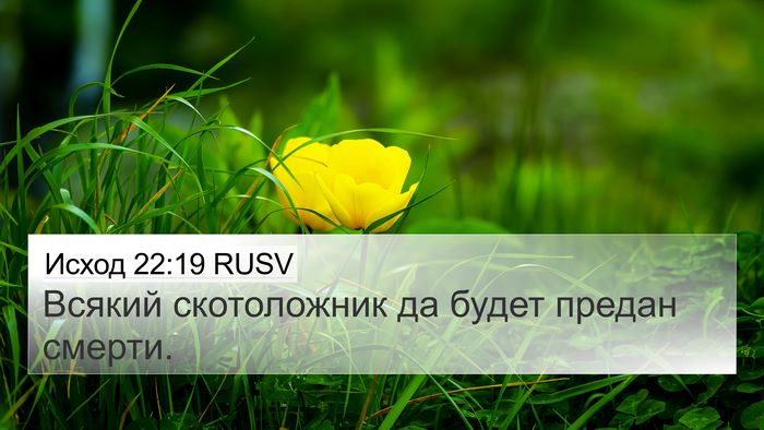 Исход 22:19 RUSV Bible Verse Image