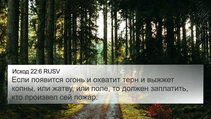 Исход 22:6 RUSV 4K Wallpaper - Если появится огонь и - 4K Wallpaper Bible Verse