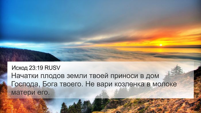 Исход 23:19 RUSV Bible Verse Image