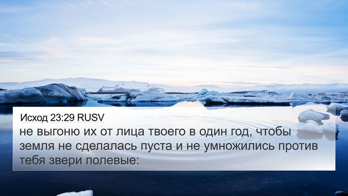 Исход 23:29 RUSV Bible Verse Image