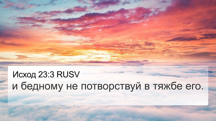 Исход 23:3 RUSV Bible Verse Image