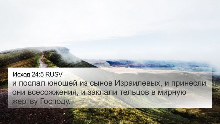 Исход 24:5 RUSV Bible Verse Image