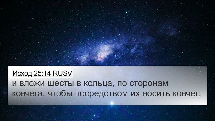 Исход 25:14 RUSV Bible Verse Image