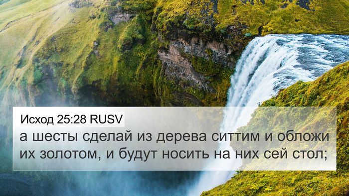 Исход 25:28 RUSV Bible Verse Image